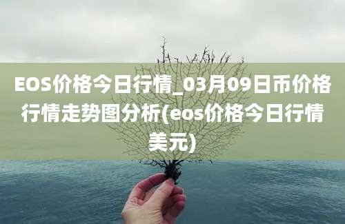 EOS价格今日行情_03月09日币价格行情走势图分析(eos价格今日行情美元)