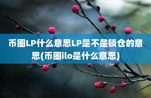 币圈LP什么意思LP是不是锁仓的意思(币圈ilo是什么意思)