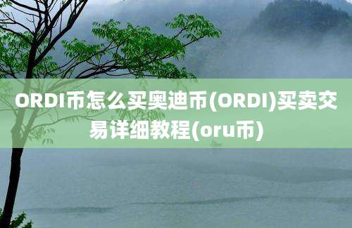 ORDI币怎么买奥迪币(ORDI)买卖交易详细教程(oru币)