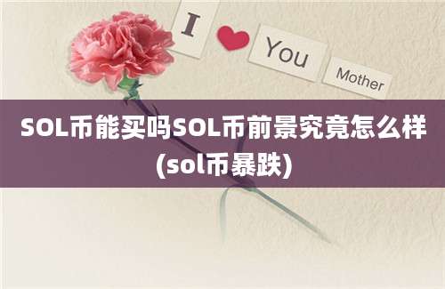 SOL币能买吗SOL币前景究竟怎么样(sol币暴跌)