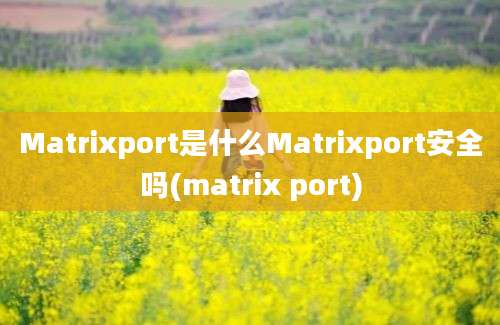 Matrixport是什么Matrixport安全吗(matrix port)