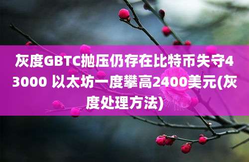 灰度GBTC抛压仍存在比特币失守43000 以太坊一度攀高2400美元(灰度处理方法)