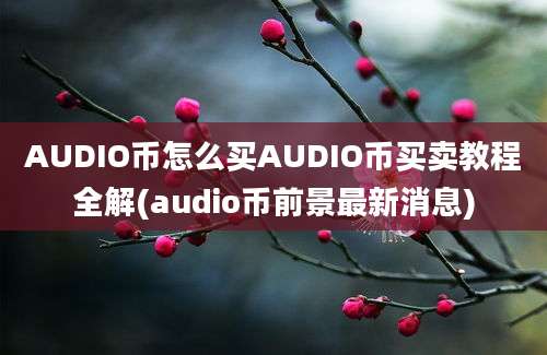 AUDIO币怎么买AUDIO币买卖教程全解(audio币前景最新消息)