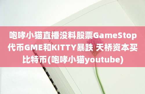 咆哮小猫直播没料股票GameStop代币GME和KITTY暴跌 天桥资本买比特币(咆哮小猫youtube)