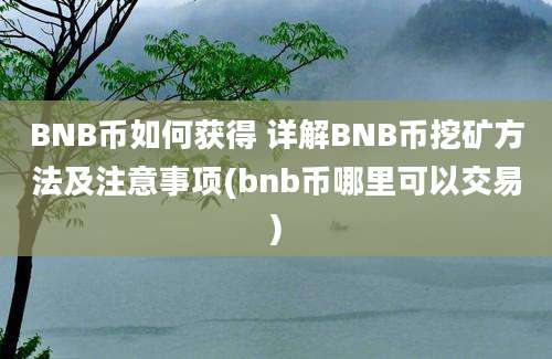 BNB币如何获得 详解BNB币挖矿方法及注意事项(bnb币哪里可以交易)