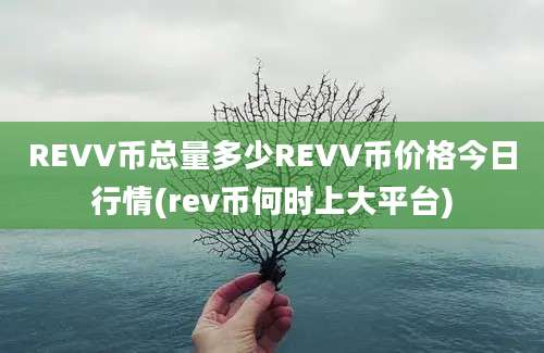 REVV币总量多少REVV币价格今日行情(rev币何时上大平台)