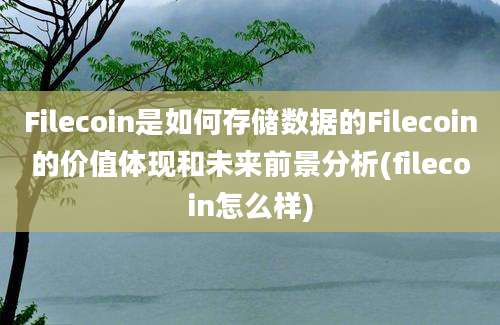 Filecoin是如何存储数据的Filecoin的价值体现和未来前景分析(filecoin怎么样)