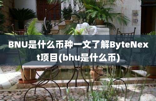 BNU是什么币种一文了解ByteNext项目(bhu是什么币)