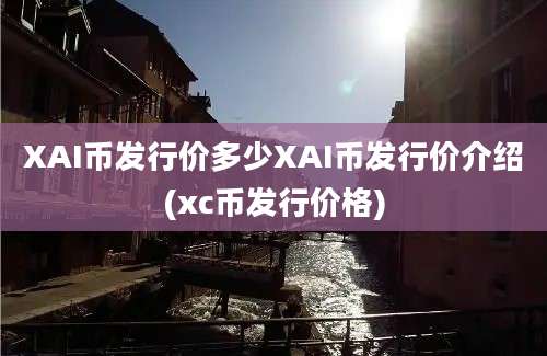 XAI币发行价多少XAI币发行价介绍(xc币发行价格)