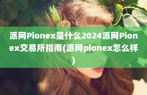 派网Pionex是什么2024派网Pionex交易所指南(派网pionex怎么样)