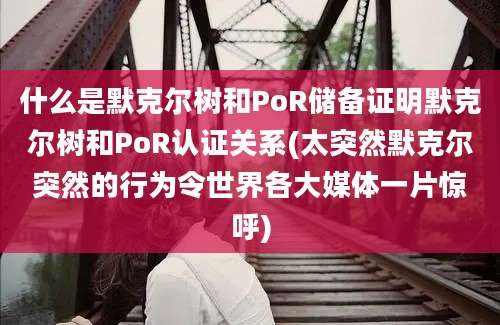 什么是默克尔树和PoR储备证明默克尔树和PoR认证关系(太突然默克尔突然的行为令世界各大媒体一片惊呼)