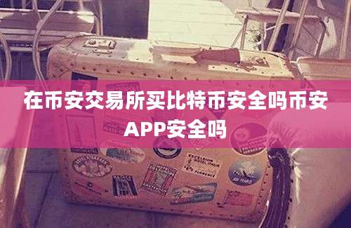 在币安交易所买比特币安全吗币安APP安全吗