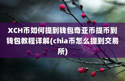 XCH币如何提到钱包奇亚币提币到钱包教程详解(chia币怎么提到交易所)