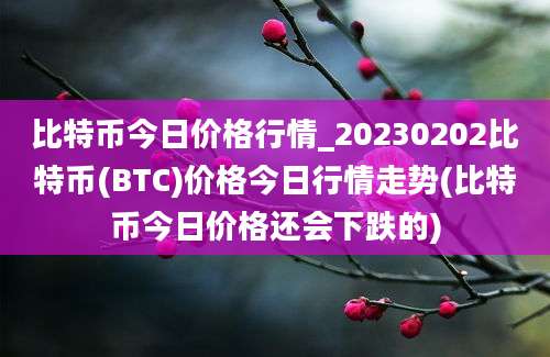 比特币今日价格行情_20230202比特币(BTC)价格今日行情走势(比特币今日价格还会下跌的)