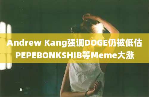 Andrew Kang强调DOGE仍被低估PEPEBONKSHIB等Meme大涨