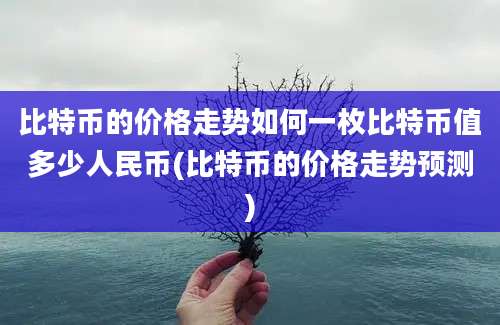 比特币的价格走势如何一枚比特币值多少人民币(比特币的价格走势预测)