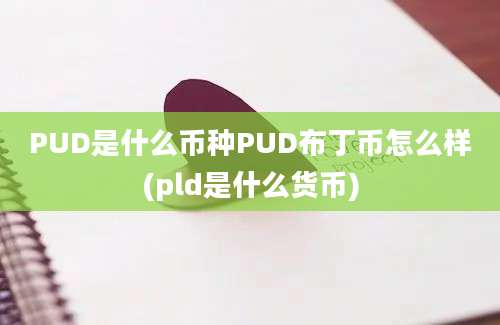 PUD是什么币种PUD布丁币怎么样(pld是什么货币)