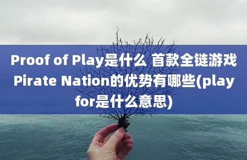 Proof of Play是什么 首款全链游戏Pirate Nation的优势有哪些(playfor是什么意思)