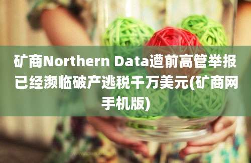 矿商Northern Data遭前高管举报已经濒临破产逃税千万美元(矿商网手机版)