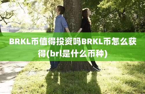 BRKL币值得投资吗BRKL币怎么获得(brl是什么币种)