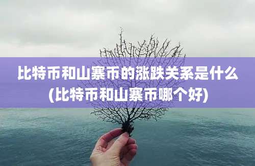 比特币和山寨币的涨跌关系是什么(比特币和山寨币哪个好)