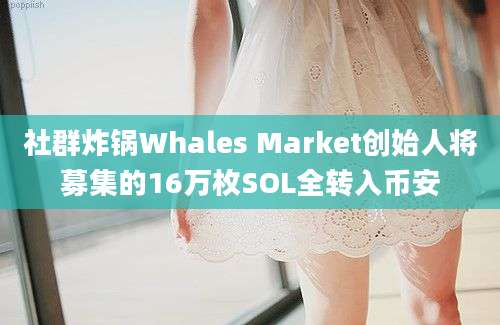 社群炸锅Whales Market创始人将募集的16万枚SOL全转入币安