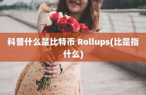 科普什么是比特币 Rollups(比是指什么)