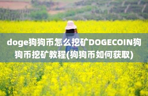 doge狗狗币怎么挖矿DOGECOIN狗狗币挖矿教程(狗狗币如何获取)