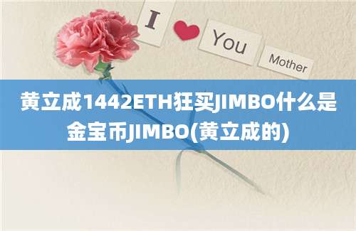 黄立成1442ETH狂买JIMBO什么是金宝币JIMBO(黄立成的)