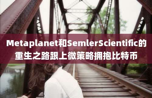 Metaplanet和SemlerScientific的重生之路跟上微策略拥抱比特币