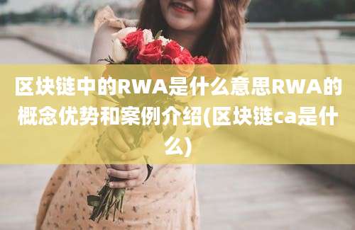 区块链中的RWA是什么意思RWA的概念优势和案例介绍(区块链ca是什么)