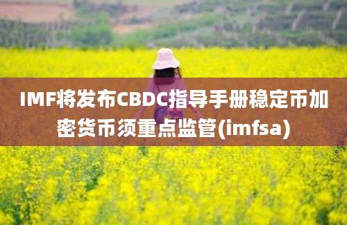 IMF将发布CBDC指导手册稳定币加密货币须重点监管(imfsa)