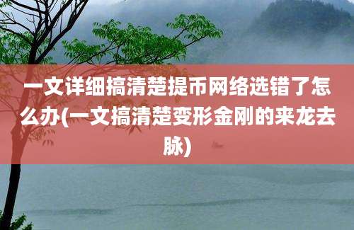 一文详细搞清楚提币网络选错了怎么办(一文搞清楚变形金刚的来龙去脉)