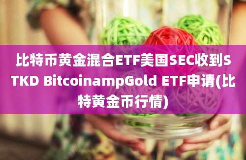 比特币黄金混合ETF美国SEC收到STKD BitcoinampGold ETF申请(比特黄金币行情)