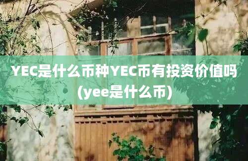 YEC是什么币种YEC币有投资价值吗(yee是什么币)