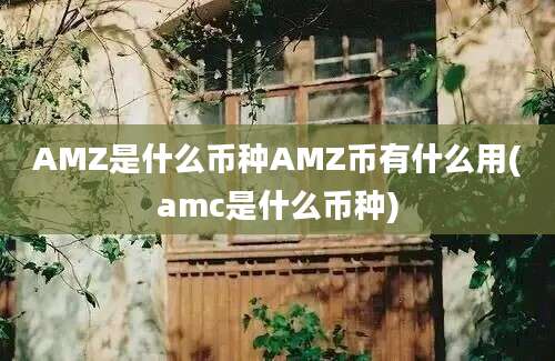 AMZ是什么币种AMZ币有什么用(amc是什么币种)