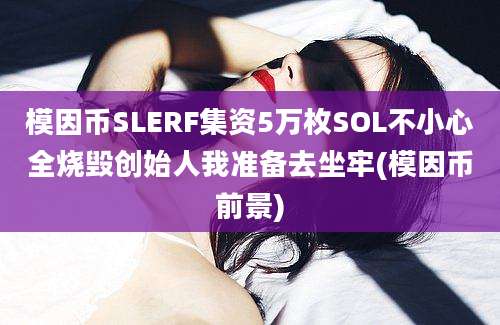 模因币SLERF集资5万枚SOL不小心全烧毁创始人我准备去坐牢(模因币前景)