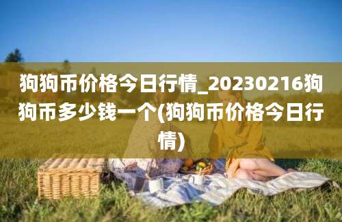 狗狗币价格今日行情_20230216狗狗币多少钱一个(狗狗币价格今日行情)