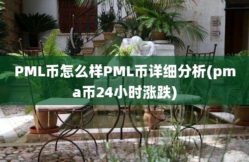 PML币怎么样PML币详细分析(pma币24小时涨跌)