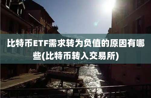 比特币ETF需求转为负值的原因有哪些(比特币转入交易所)