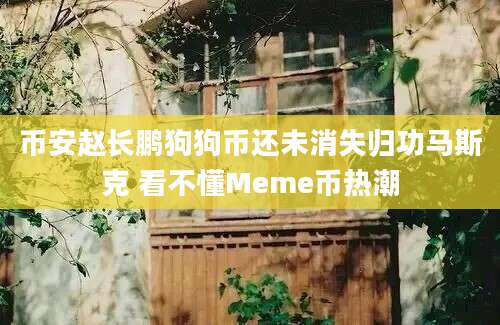 币安赵长鹏狗狗币还未消失归功马斯克 看不懂Meme币热潮