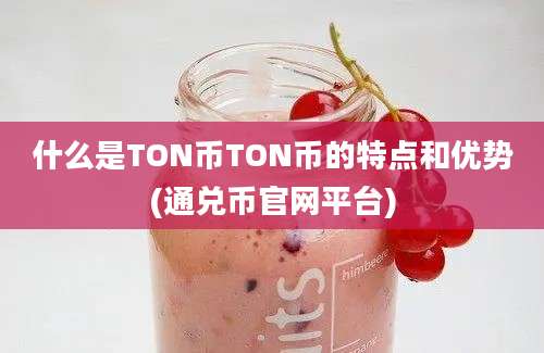 什么是TON币TON币的特点和优势(通兑币官网平台)