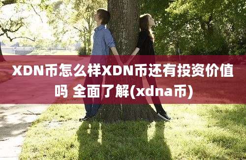 XDN币怎么样XDN币还有投资价值吗 全面了解(xdna币)