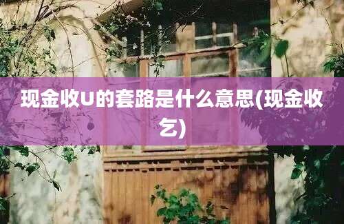 现金收U的套路是什么意思(现金收乞)