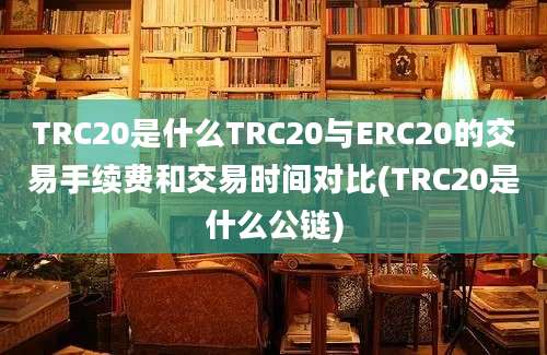 TRC20是什么TRC20与ERC20的交易手续费和交易时间对比(TRC20是什么公链)