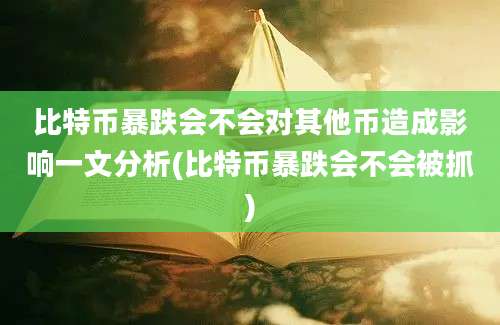 比特币暴跌会不会对其他币造成影响一文分析(比特币暴跌会不会被抓)