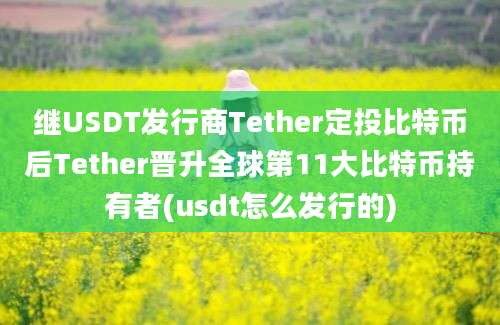 继USDT发行商Tether定投比特币后Tether晋升全球第11大比特币持有者(usdt怎么发行的)