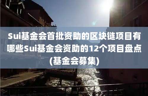 Sui基金会首批资助的区块链项目有哪些Sui基金会资助的12个项目盘点(基金会募集)