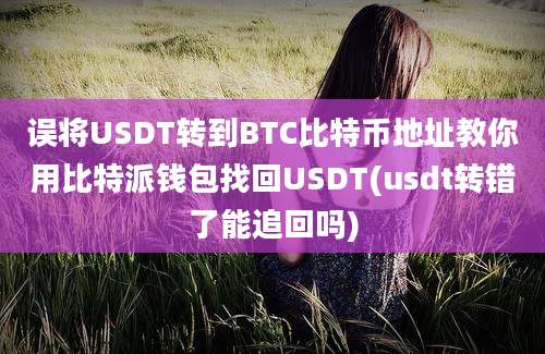 误将USDT转到BTC比特币地址教你用比特派钱包找回USDT(usdt转错了能追回吗)