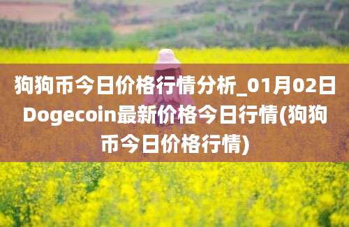 狗狗币今日价格行情分析_01月02日Dogecoin最新价格今日行情(狗狗币今日价格行情)